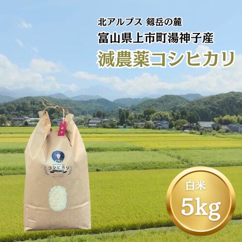 【ふるさと納税】【令和7年産】減農薬 上市町湯神子産コシヒカリ（白米）5kg　 [ソムリエH 富山県 上市町 32280234-r6-02] 　お米 コメ ご飯 ごはん こしひかり 富山県産
