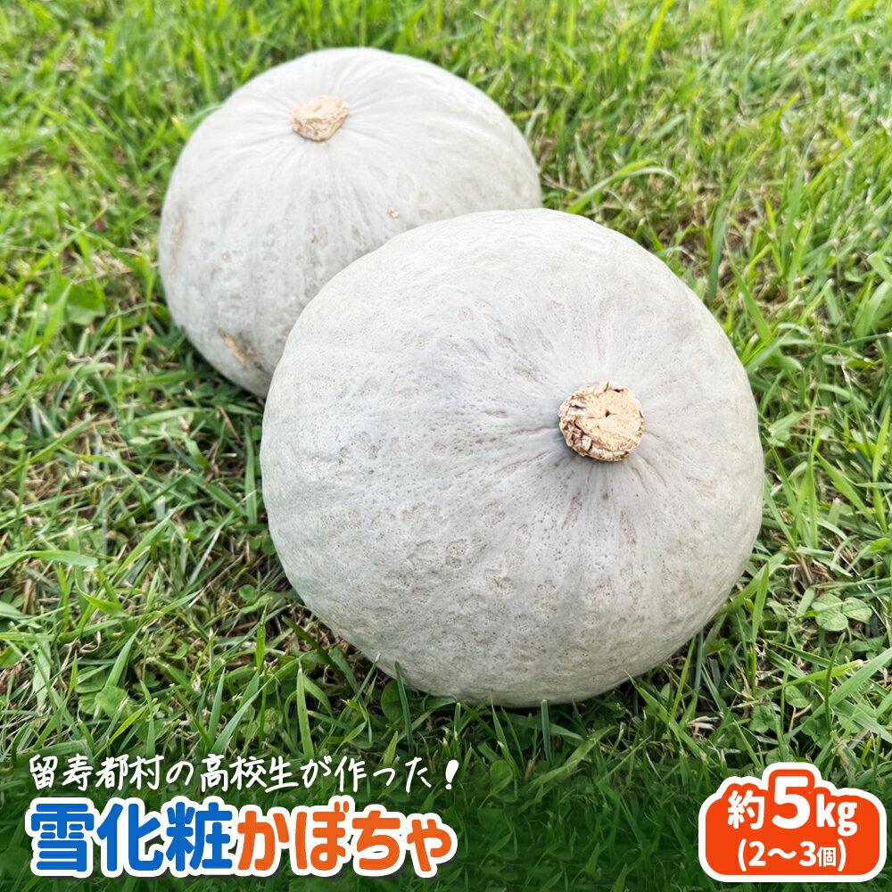 【ふるさと納税】留寿都村の高校生が作った！　雪化粧かぼちゃ　【23002】