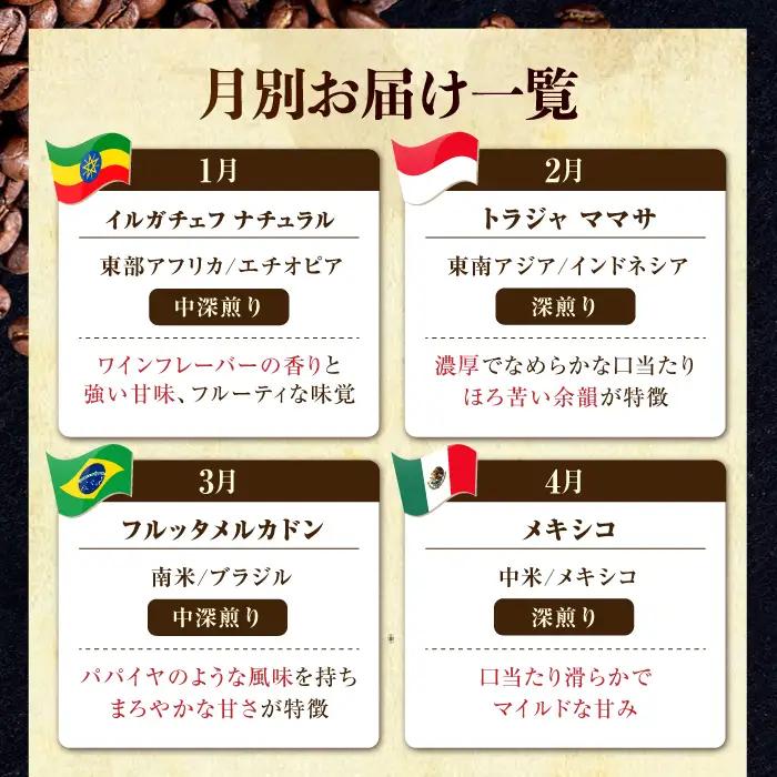 【全12回】能美島ビターブレンドセット コーヒー粉 全13種 コーヒー[XBE083]