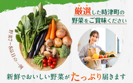 【定期便 3ヶ月コース】 野菜のプロ40年が届けるこだわり野菜セット！ 7～8品目 詰め合わせ 【2026年1月上旬より発送開始】