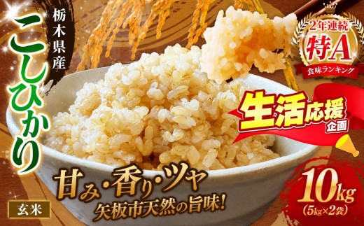 矢板市特別栽培米 お米 訳あり こしひかり 玄米 5kg×2P |栃木県 矢板市