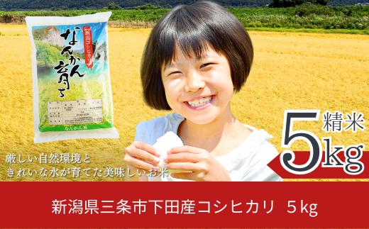 新米 コシヒカリ 5kg 新潟県三条市下田産 こしひかり 令和6年産 [JAえちご中越]【010S242】