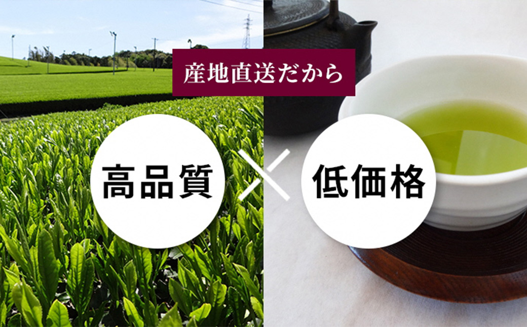 静岡茶 たっぷり 1.2kg（7種 12袋） 逸品 深蒸し茶 茶 茶セット 緑茶 深蒸し煎茶 高級煎茶 荒茶 くき茶 静岡緑茶 日本茶 粉茶