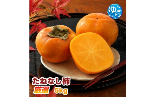 【ふるさと納税】 たねなし柿 5kg 厳選 / 柿 刀根早生 平核無柿 富有柿 ※2026年9月下旬から11月上旬に順次発送 ※北海道・沖縄・離島への配送不可  【ikd504-p-5】