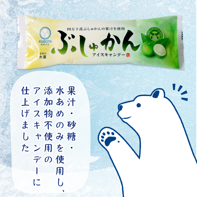 四万十ぶしゅかんアイスキャンデー 20本 
