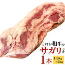 【ふるさと納税】〈冷蔵〉幻のサガリ これが和牛のサガリです 1本 (1.6kg～2kg) 牛サガリ 牛肉 お肉 サガリ まるごと 一本 和牛 新鮮 鮮度 ブロック 焼肉 バーベキュー BBQ 冷蔵 九州産 送料無料