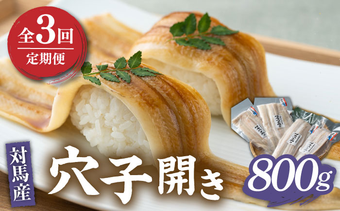 
            【全3回定期便】対馬 穴子 開き 800g《対馬市》【海風商事】アナゴ 国産 九州 長崎 [WAD029]冷凍 新鮮 あなご 天ぷら もう1品 おかず 肉厚 穴子重 開き 海鮮 魚介 簡単調理 時短  定期便 毎月届く
          
