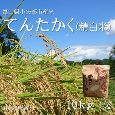【ふるさと納税】【2025年9月上旬頃から順次発送】令和7年産米「てんたかく」(精米)10kg×1袋【1655823】