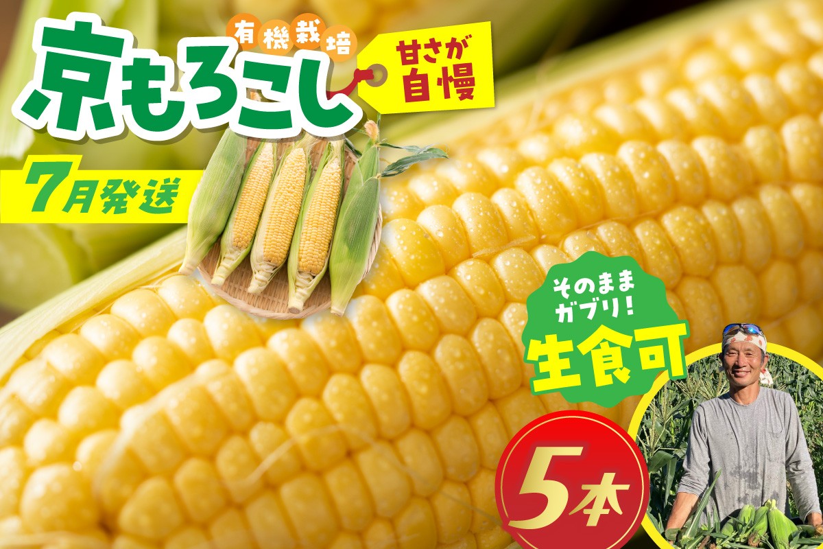 
                  【数量限定50／先行予約2027年7月から順次発送】＜てんとうむしばたけ＞有機とうもろこし5本　有機野菜 甘い 野菜 ふるさと納税 とうもろこし 期間限定 とうもろこしごはん かき揚げ 有機 オーガニック 産地直送 旬野菜 旬 コーン バター ペッパーランチ シャキシャキ 弾ける 丸ごと かぶりつき　BR00088
                