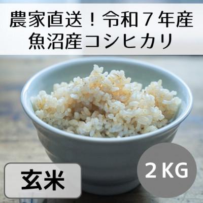 ふるさと納税 十日町市 【令和7年産】新潟県魚沼産コシヒカリ「山清水米」玄米2kg