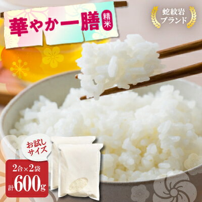 【ふるさと納税】お試し!令和8年産〈先行予約〉9月より順次発送【蛇紋岩ブランド　華やか一膳】計600g(2合×2袋)【1699942】