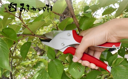 楽がつまったみきかじや村の 剪定 はさみ 全3色[ ハサミ 鋏 園芸 切り花 替刃式 ] 藍