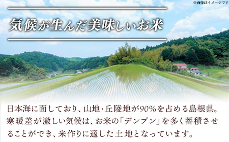 【新米 先行受付】【定期便 6か月】食味鑑定士厳選　島根こしひかり 10kg（5kg×2袋）【白米 コシヒカリ 令和7年産 先行予約 新米予約 精米 島根県 安来市】