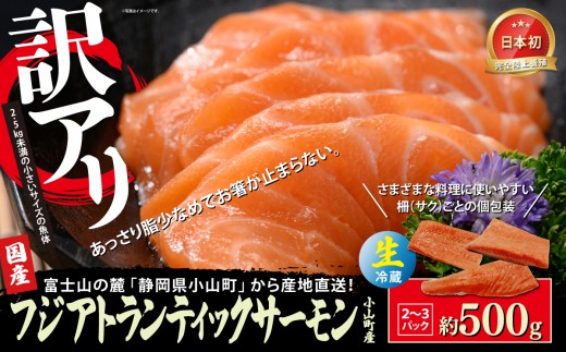 【訳アリ】小山町産 フジアトランティックサーモン（生・冷蔵）2～3P 約500g | サーモン 刺身 海鮮丼 小分け 真空パック 鮭 養殖 国産 訳あり 訳アリ わけあり 1キロ 切り身 静岡県 小山町