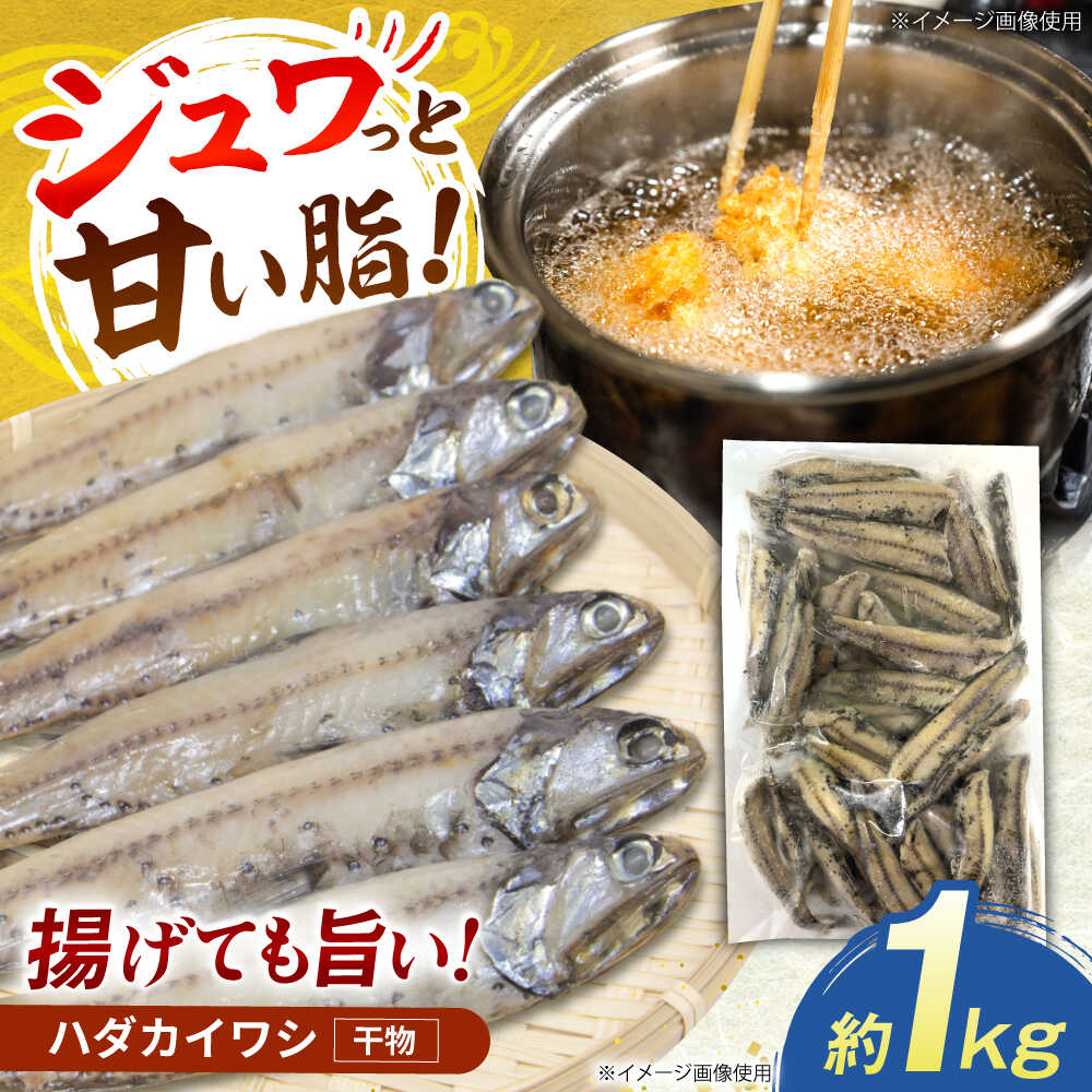 【ふるさと納税】高知県産 ハダカイワシ干物 約1kg / 高知 ハダカイワシ イワシ いわし 魚 干物 冷凍 【ワクトフーズ】[ATHF001]