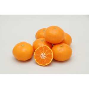 温州みかん【家庭用】約3kg【B76-15】【1539504】