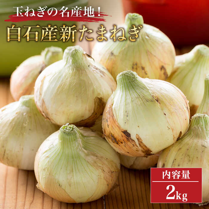 【ふるさと納税】【玉ねぎの名産地！】白石産新たまねぎ 約2kg【道の駅しろいしカンパニー】野菜 タマネギ 玉葱 玉ねぎ オニオン 佐賀県産タマネギ 大容量 たまねぎ 佐賀県 白石町 白石 [IAA030]