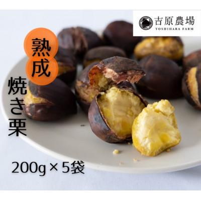 ふるさと納税 筑西市 【 吉原農場 の 完熟栗 】  熟成 焼き栗 5袋 ( 200g × 5袋 )