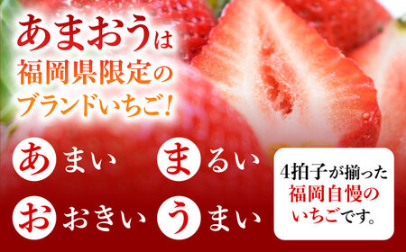 あまおう 12粒 【1月中旬以降順次発送】 あまおう [ABAG006] 