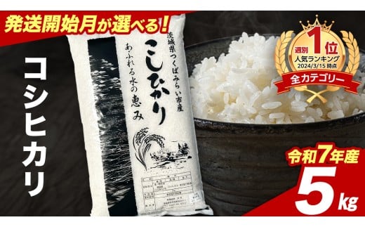 【5月下期出荷】 コシヒカリ 5kg 令和7年産精米 【 数量限定 】茨城県つくばみらい市産 米 コメ 単一米 12000 茨城県産 国産 発送 コスパ こしひかり