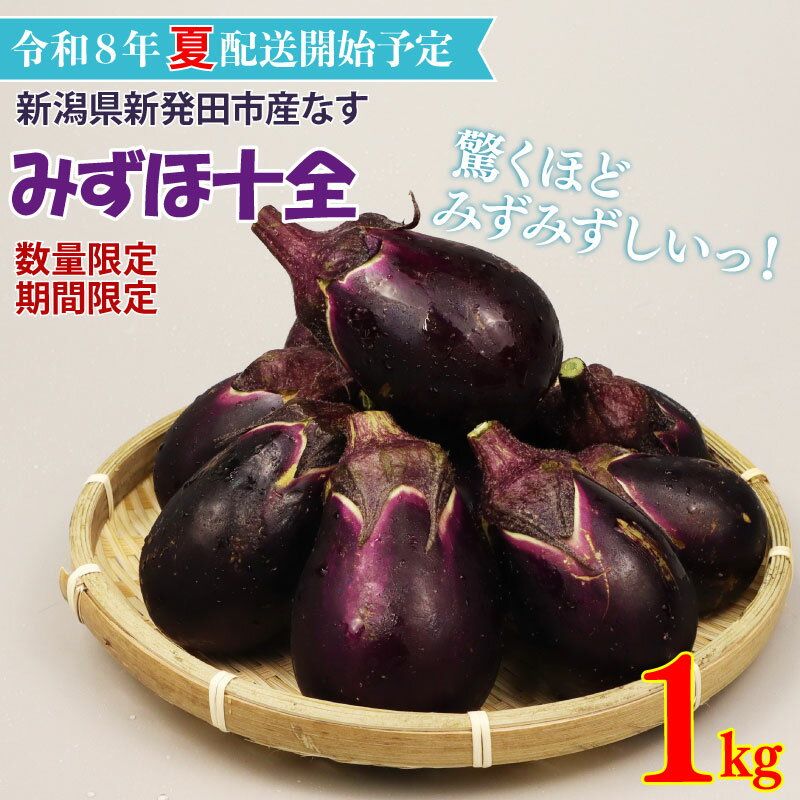 【ふるさと納税】 R8年産先行予約 なす 1kg （ 約 15個 ） みずほ十全 夏野菜 野菜 旬 旬の野菜 期間限定 数量限定 【 新潟県 新発田産 のぞみふぁーむ ナス 農福連携 先行予約 1kg 甘い 柔らかい 十全なす 小茄子 特産品 nozofarm002 】
