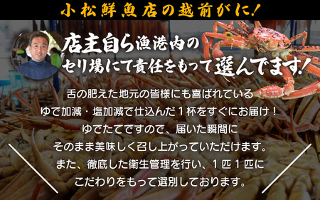 【訳あり】足折れ 越前がに 特大サイズ × 1杯（1.1～1.2kg）地元で喜ばれるゆで加減・塩加減で越前の港から直送！【雄 ズワイガニ ずわいがに 姿 ボイル 冷蔵 福井県】【3月発送分】[e23-