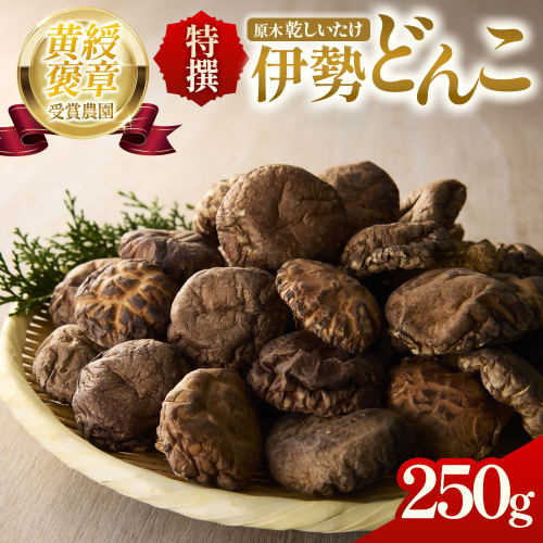 完全無農薬！ 森林栽培原木 乾しいたけ 「特撰・伊勢どんこ」 250g 【月20個限定】 YZ-011