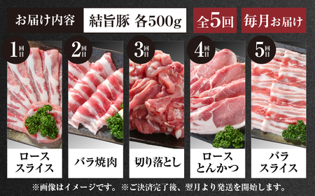 《定期便》全5回 結旨豚（焼肉・しゃぶしゃぶ・切り落とし）500g×5か月 冷凍真空パック | 肉 お肉 豚肉 国産 食べ比べ セット 白川郷 岐阜県 白川村 ブランド豚 人気 おすすめ ギフト 飛騨