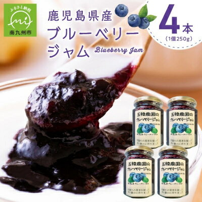 【ふるさと納税】ブルーベリージャム 250g×4個【1186202】
