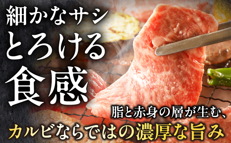 宮崎牛 カルビ焼肉500g 肉 宮崎牛 焼肉
