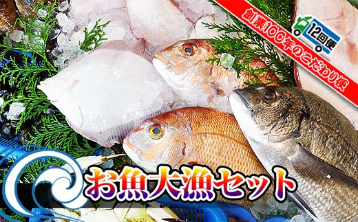 
                  【定期便12回】創業100年の魚屋さんが選び抜いた旨い鮮魚直送便～
                