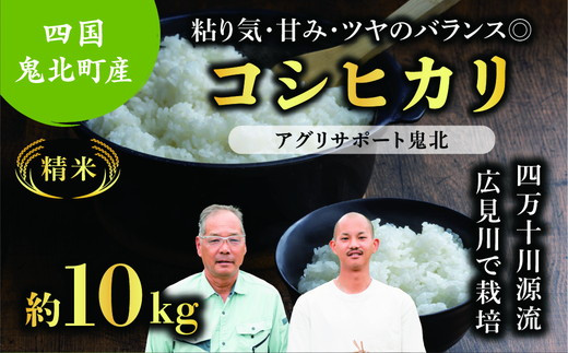 
                  【先行予約】【令和8年度産新米】コシヒカリ 約10kg （精米済み） | 精米 お米 米 白米 人気 ランキング 愛媛県 鬼北町 四国 国産 アグリサポート鬼北 ※離島への配送不可 ※2026年9月上旬～12月下旬頃に順次発送予定
                