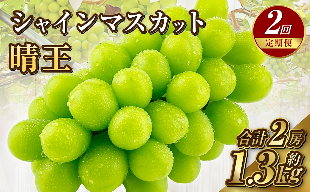 
            【定期便 全2回／2025年9・10月発送】 岡山県産シャインマスカット 晴王 1房 約650g ｜2回定期便 ９月・１０月に１回づつお届け 種無し 皮ごと食べる 旬の美味しさ フレッシュ 先行予約 ハレノフルーツ
          