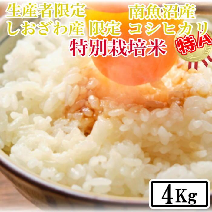【令和7年産】【精米4kg】特別栽培 しおざわ産限定 生産者限定 南魚沼産コシヒカリ【2025年10月上旬より順次発送予定】