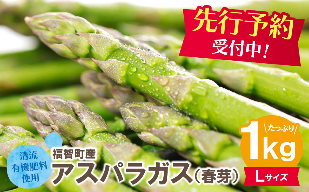 清流・自然栽培 アスパラガス(春芽) 1kg(L)