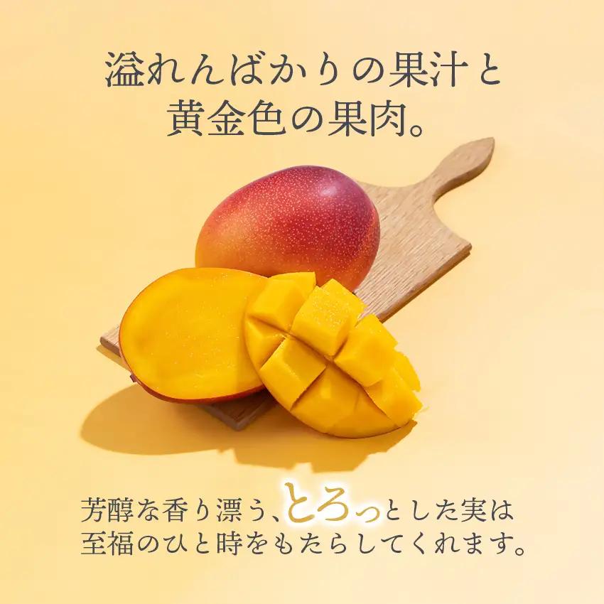 【先行予約】フルーツ専門店『南国フルーツ』厳選宮崎完熟マンゴー2玉(計500g)宮崎県西都市産 2027年発送＜73-2b＞