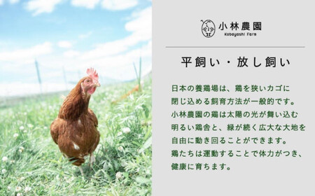 【全2回定期便】親鶏のスパイスカレー 5個（辛口）《厚真町》【テンアール株式会社】 カレー スパイスカレー 辛口 鶏 鶏肉 平飼い 冷凍配送 北海道[AXAN085]