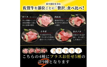 焼肉セット9種盛【サーロイン･ウチモモ･イチボ･カメノコ+お任せ5種】
