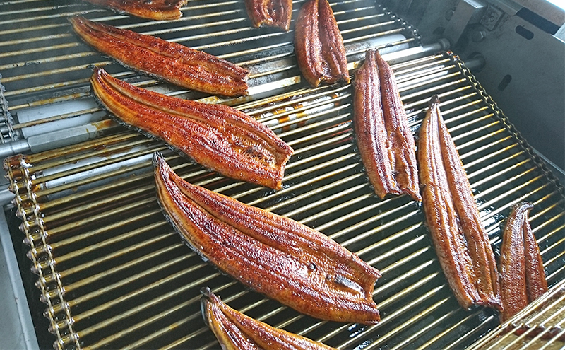 工場直送!特大!!浜名湖産うなぎ蒲焼き 真空パック 約200g×2尾 タレ・山椒付き うなぎ 鰻 ウナギ 蒲焼 冷凍 浜松市 静岡