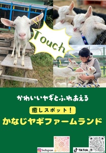 ヤギミルクアイスバー 80ml×10p ❘ アイス ヤギ ミルク 兵庫県 上郡町