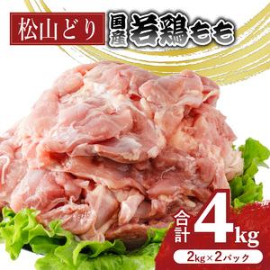 【愛媛県産】 鶏肉 小分け 4kg もも肉 2kg×2パック  | 松山どり  【BJ011】