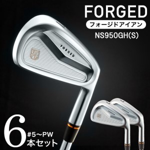 500BE14N.FK01 CAVITY #5～Pw(NS)／軟鉄鍛造 フォージド アイアン 国産 ゴルフクラブ