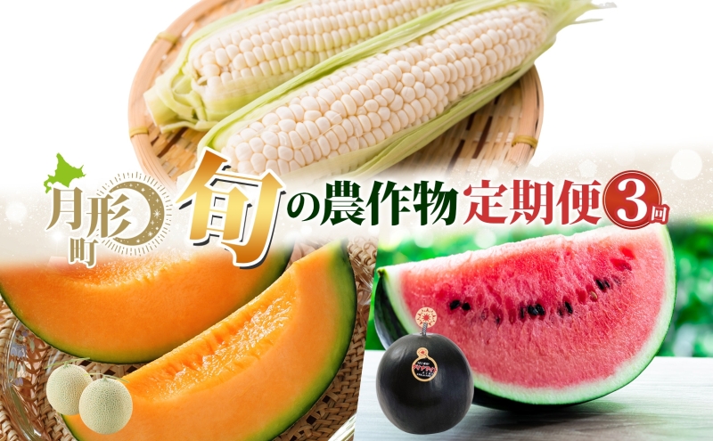 月形町 人気の厳選 定期便 3回お届け とうもろこし メロン スイカ