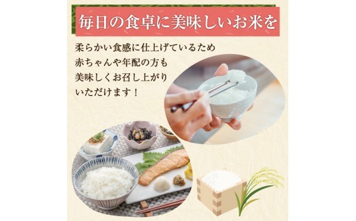 夢つくし ゆめつくし 無洗米 お米 米 精米 白米 15kg (5kg×3袋) 5キロ 10キロ 15キロ 無洗米 お米