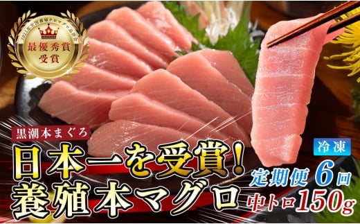 まぐろ マグロ 本鮪 黒潮本まぐろ 中トロ 定期便 6回 150g × 6回 刺身 さしみ 最優秀賞 全国養殖クロマグロ品評会 受賞 魚 魚介類 海鮮 柵 サク 冷凍 お取り寄せ 産地直送 ギフト 贈答  高知県 大月町