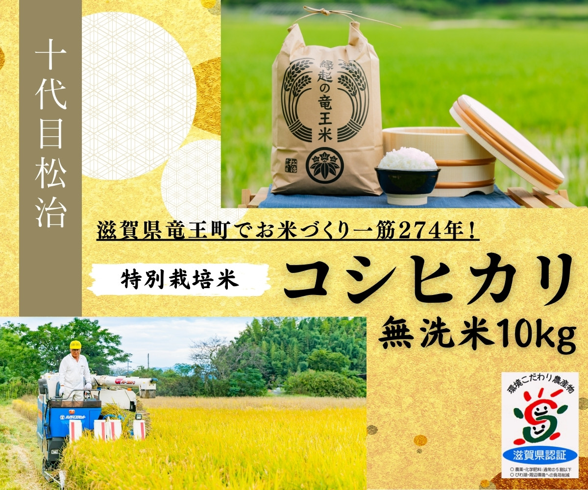 
【 新米予約 】 コシヒカリ 無洗米 10kg 縁起の竜王米 ( 令和6年産 先行予約 新米 無洗米 10kg おこめ ごはん 米 特別栽培米 ブランド米 ライス こだわり米 ギフト 国産 滋賀県竜王町 )
