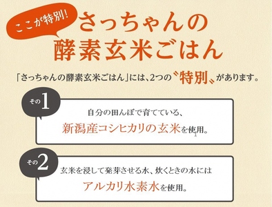 【2ヶ月定期便】さっちゃんの酵素玄米ごはん「レトルトタイプ」125g×28パック×2回 コシヒカリ ３日間熟成 健康 美容 完全無添加 1F05060　