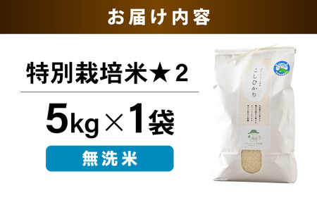 【令和5年産】 特別栽培米 コシヒカリ 無洗米 5kg 低農薬 / 北陸 福井県産 あわら市 ブランド米 白米 お米 コメ 特栽米