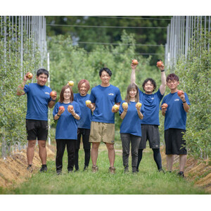 産地直送　葉とらずサンふじ　訳あり　約2kg_果物・フルーツ りんご  リンゴ 林檎_【配送不可地域：離島・沖縄県】【1516074】