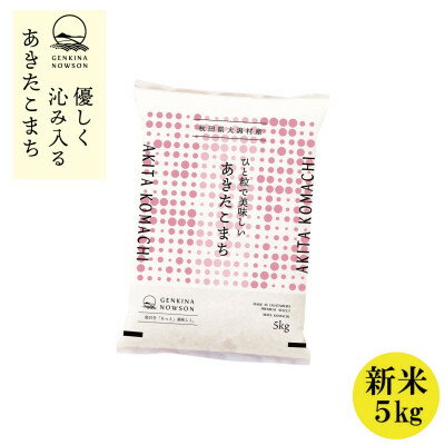 【ふるさと納税】秋田県産 予約受付開始!あきたこまち【令和7年産】無洗米5kg(5kg×1)《10月中旬より発送》【配送不可地域：離島・沖縄県】【1637016】